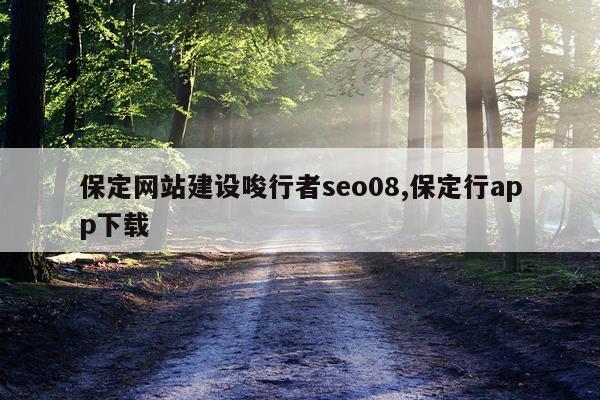 保定网站建设唆行者seo08,保定行app下载