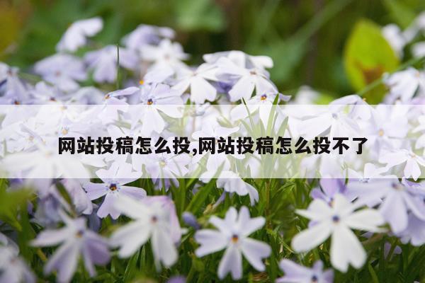 网站投稿怎么投,网站投稿怎么投不了