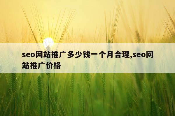 seo网站推广多少钱一个月合理,seo网站推广价格