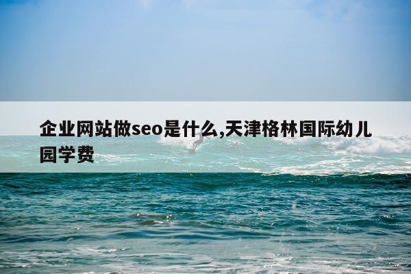 企业网站做seo是什么,天津格林国际幼儿园学费