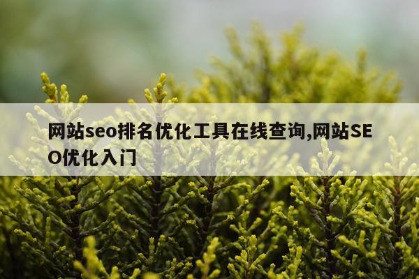 网站seo排名优化工具在线查询,网站SEO优化入门
