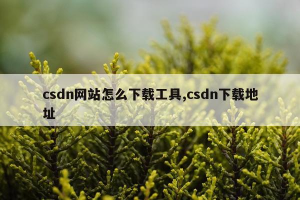 csdn网站怎么下载工具,csdn下载地址