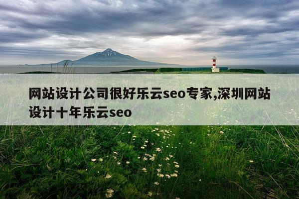 网站设计公司很好乐云seo专家,深圳网站设计十年乐云seo