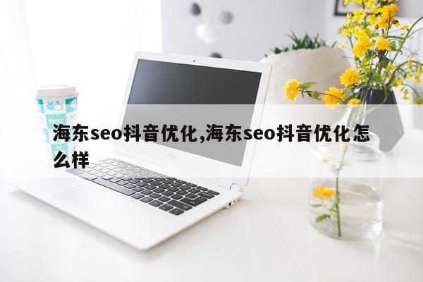 海东seo抖音优化,海东seo抖音优化怎么样