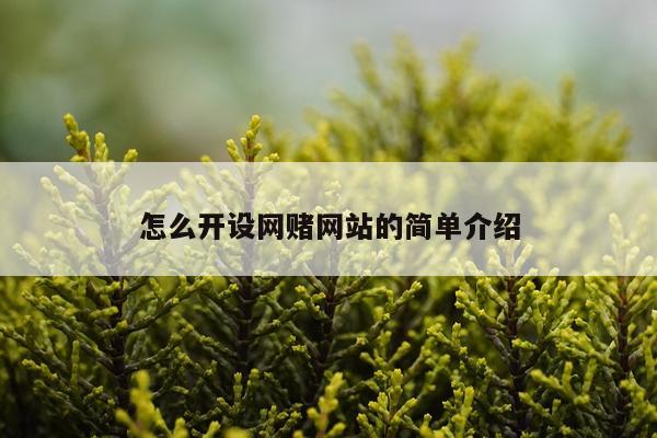 怎么开设网赌网站的简单介绍