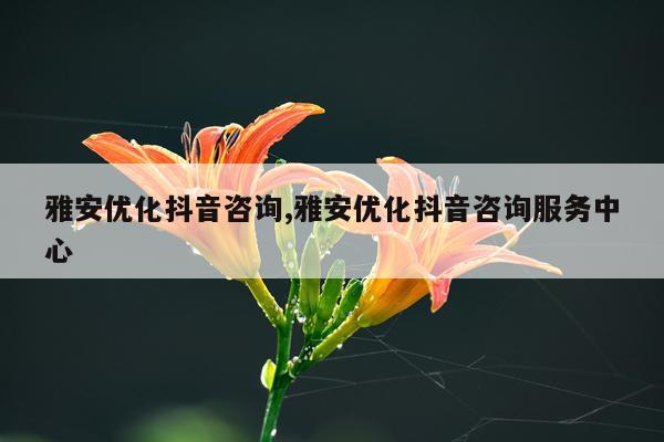 雅安优化抖音咨询,雅安优化抖音咨询服务中心