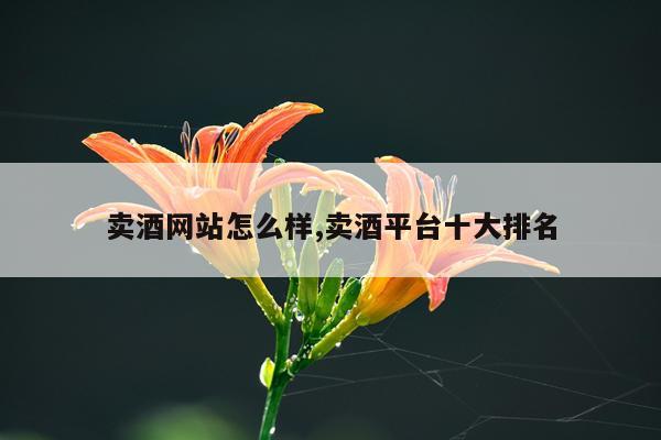 卖酒网站怎么样,卖酒平台十大排名