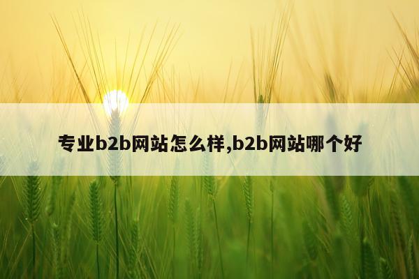 专业b2b网站怎么样,b2b网站哪个好