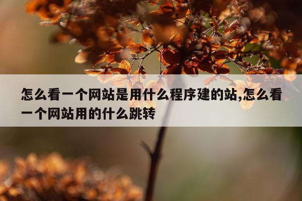 怎么看一个网站是用什么程序建的站,怎么看一个网站用的什么跳转
