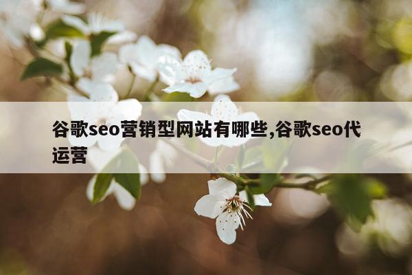 谷歌seo营销型网站有哪些,谷歌seo代运营