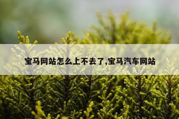 宝马网站怎么上不去了,宝马汽车网站