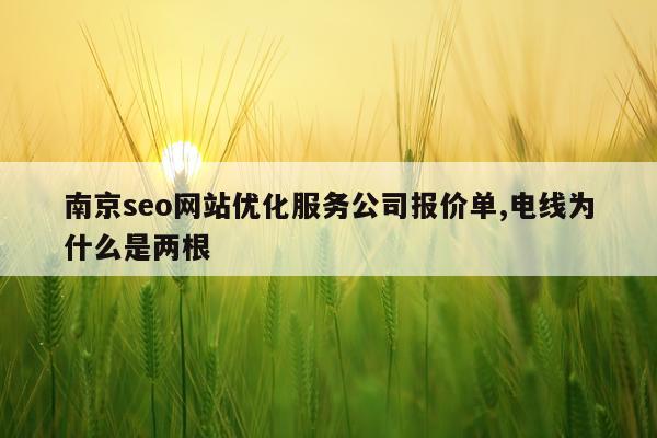 南京seo网站优化服务公司报价单,电线为什么是两根