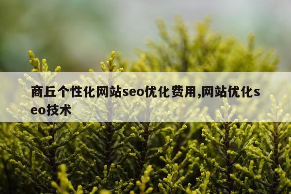 商丘个性化网站seo优化费用,网站优化seo技术