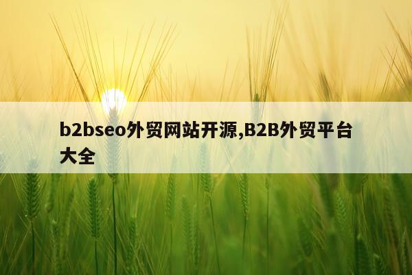 b2bseo外贸网站开源,B2B外贸平台大全