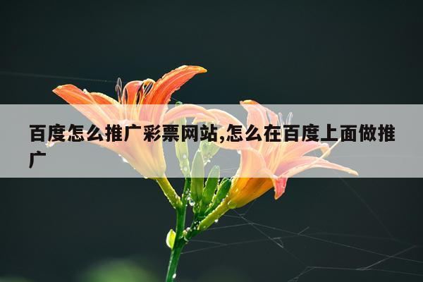 百度怎么推广彩票网站,怎么在百度上面做推广