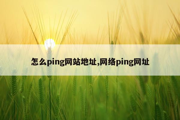 怎么ping网站地址,网络ping网址