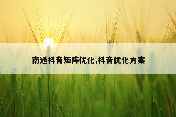 南通抖音矩阵优化,抖音优化方案