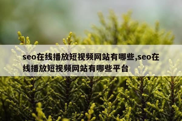 seo在线播放短视频网站有哪些,seo在线播放短视频网站有哪些平台