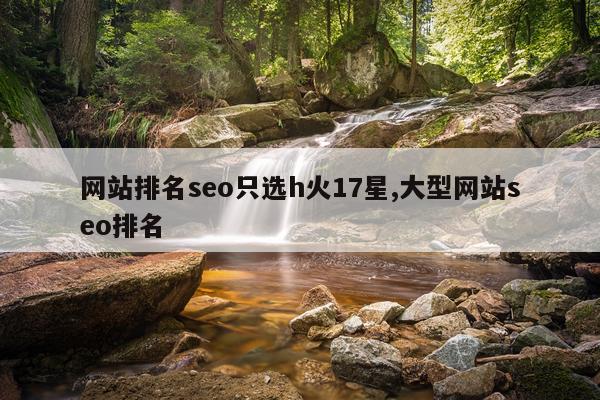 网站排名seo只选h火17星,大型网站seo排名