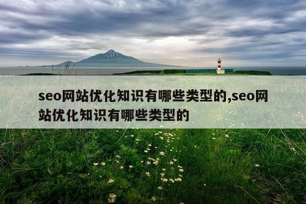 seo网站优化知识有哪些类型的,seo网站优化知识有哪些类型的