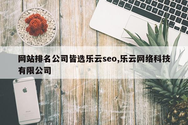 网站排名公司皆选乐云seo,乐云网络科技有限公司