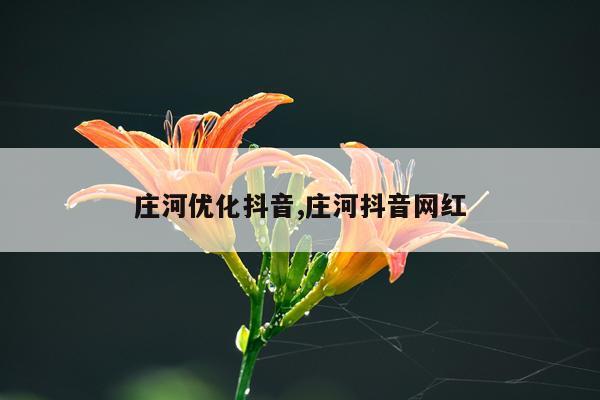 庄河优化抖音,庄河抖音网红