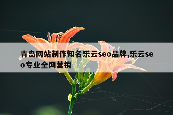 青岛网站制作知名乐云seo品牌,乐云seo专业全网营销