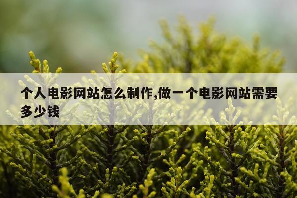 个人电影网站怎么制作,做一个电影网站需要多少钱