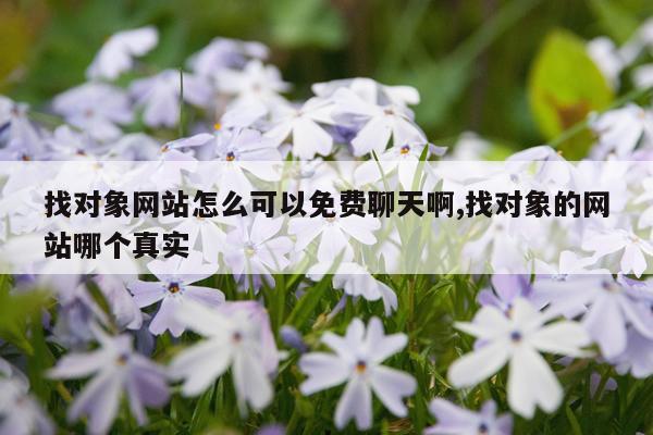 找对象网站怎么可以免费聊天啊,找对象的网站哪个真实