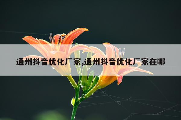 通州抖音优化厂家,通州抖音优化厂家在哪