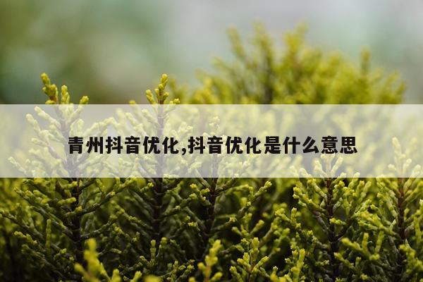 青州抖音优化,抖音优化是什么意思