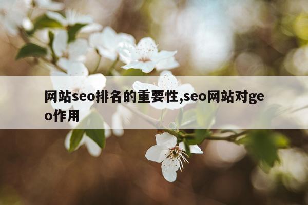 网站seo排名的重要性,seo网站对geo作用