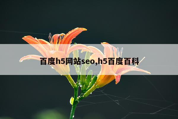 百度h5网站seo,h5百度百科