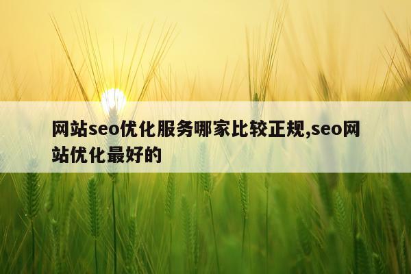 网站seo优化服务哪家比较正规,seo网站优化最好的