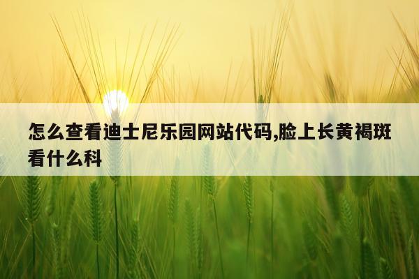 怎么查看迪士尼乐园网站代码,脸上长黄褐斑看什么科