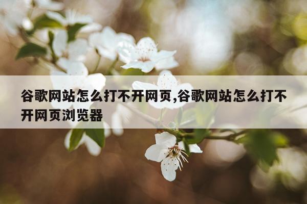 谷歌网站怎么打不开网页,谷歌网站怎么打不开网页浏览器