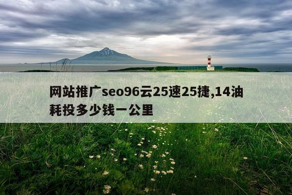 网站推广seo96云25速25捷,14油耗投多少钱一公里