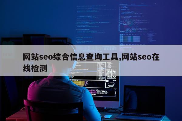 网站seo综合信息查询工具,网站seo在线检测