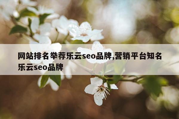 网站排名举荐乐云seo品牌,营销平台知名乐云seo品牌
