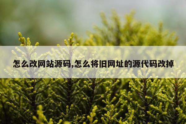 怎么改网站源码,怎么将旧网址的源代码改掉