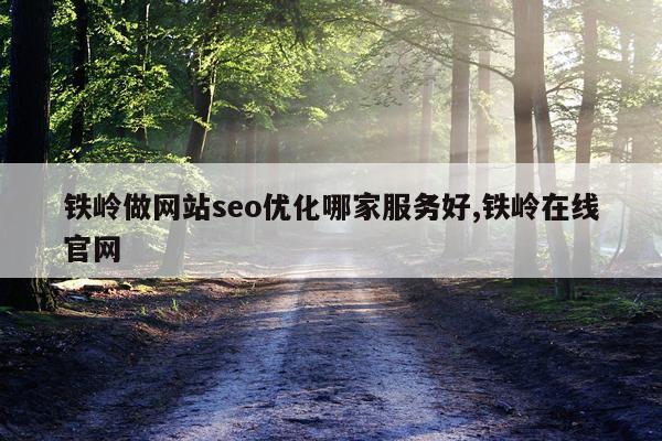 铁岭做网站seo优化哪家服务好,铁岭在线官网