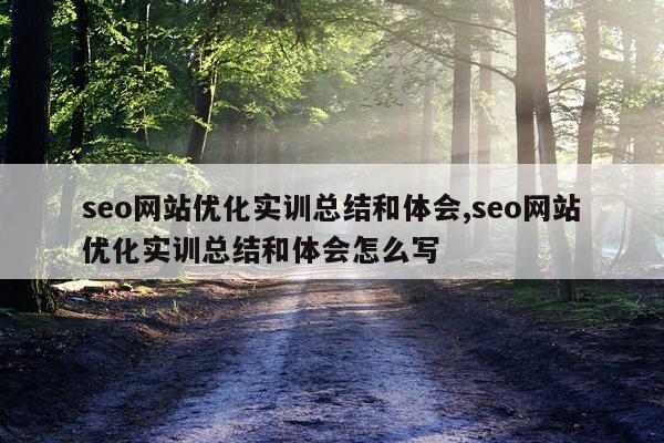 seo网站优化实训总结和体会,seo网站优化实训总结和体会怎么写