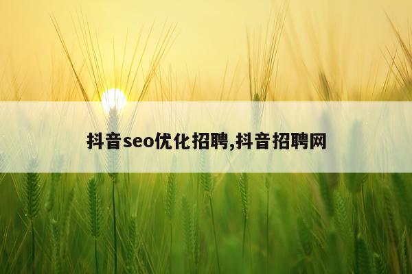 抖音seo优化招聘,抖音招聘网