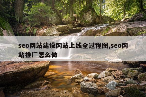 seo网站建设网站上线全过程图,seo网站推广怎么做