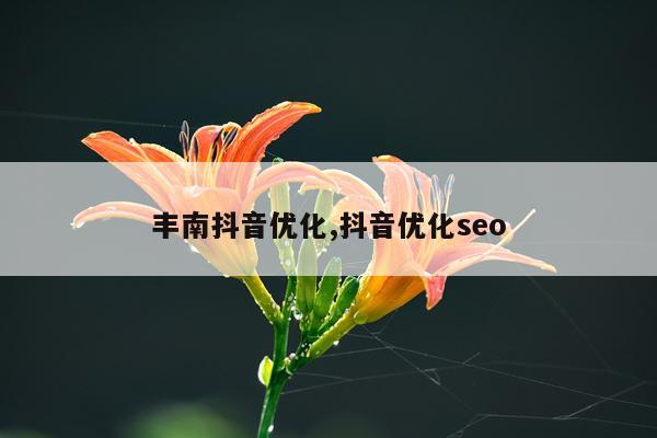 丰南抖音优化,抖音优化seo