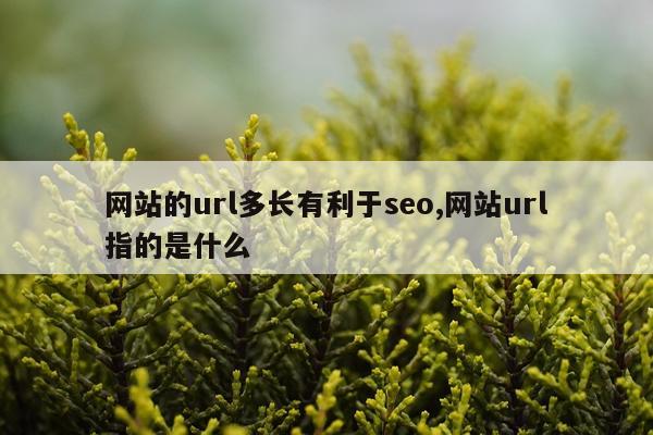 网站的url多长有利于seo,网站url指的是什么