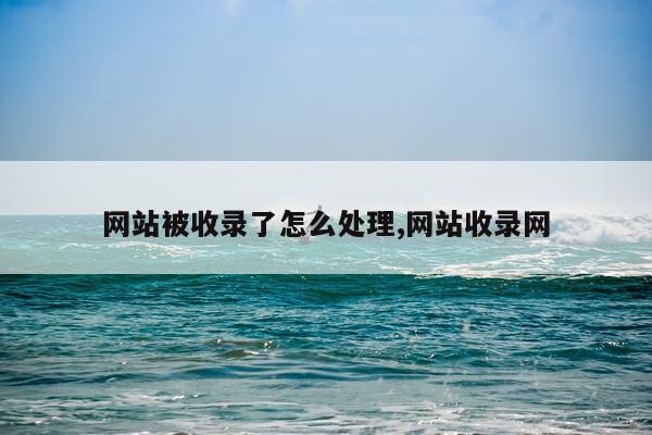 网站被收录了怎么处理,网站收录网