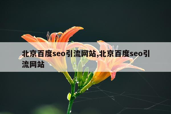 北京百度seo引流网站,北京百度seo引流网站