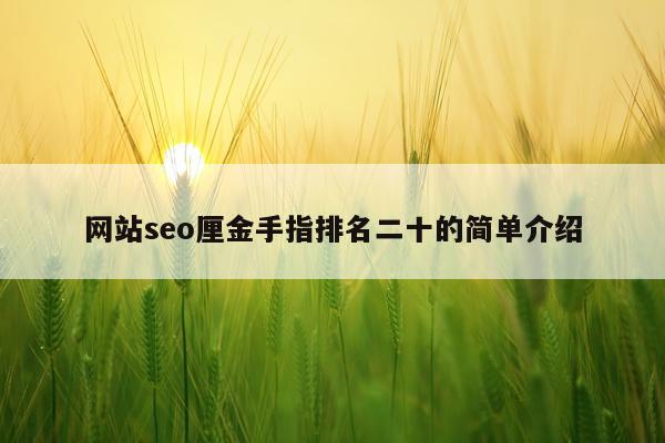 网站seo厘金手指排名二十的简单介绍