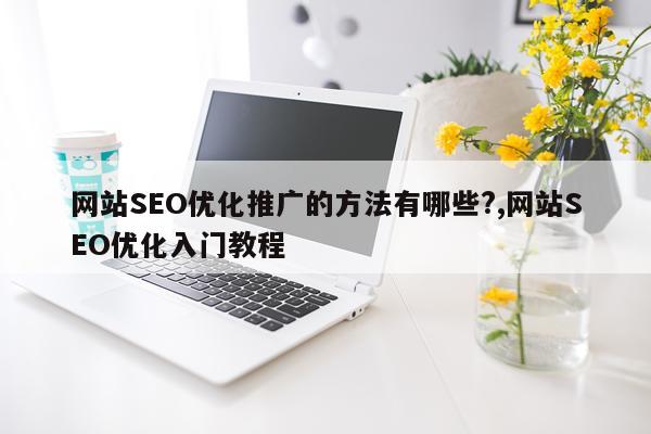 网站SEO优化推广的方法有哪些?,网站SEO优化入门教程